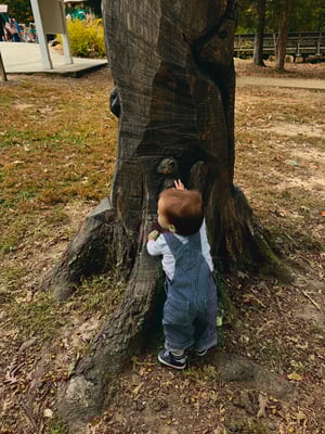 5D63903D-FA8D-4FF7-8EA8-CDB2673A148F