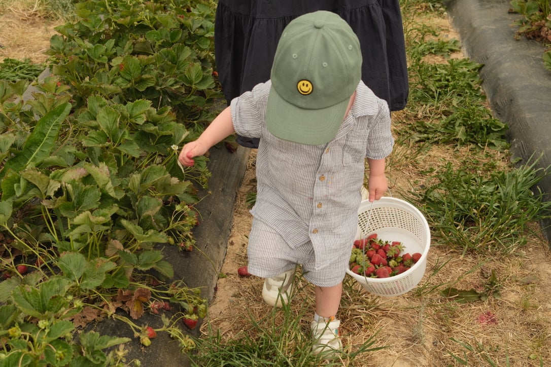 18221E29-0002-4DE8-8A16-334319686144_1_105_c