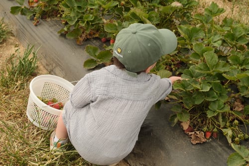 3189AA4A-07D3-475E-87DF-B92FF7E2D55C_1_105_c