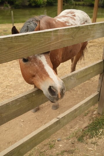 7E5D3F95-C5A2-4F95-86DA-685CBAE0B1E9_4_5005_c