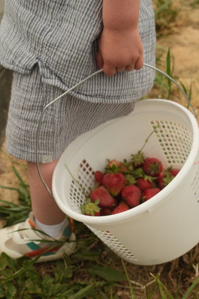 88C642FA-279B-4824-B76D-EF4D28C5ACD6_1_105_c