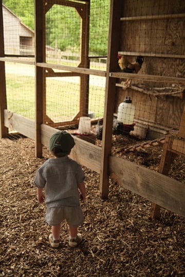 A9090A0B-6CD8-47F1-BFD6-964AB9ADD186_4_5005_c