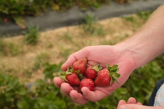 AC138EEC-1D84-4566-AD07-F2EB90671E06_4_5005_c