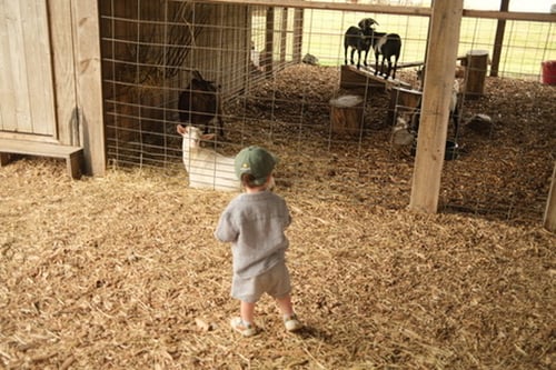 B34C5FA0-022F-4A96-8B5D-F4467765B256_4_5005_c