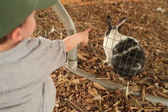 DC2AAA59-1080-4ACB-BBE5-B2A55CF93466_4_5005_c