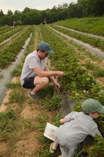 E9850A24-22B6-4E48-8D78-35837B5BC4DA_4_5005_c