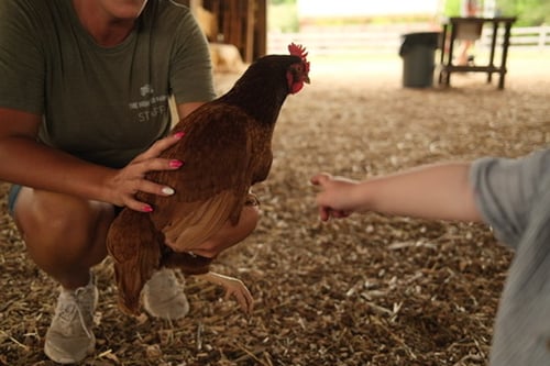 ED370AD5-89C0-464B-8006-D2BB9584305C_4_5005_c