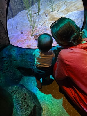 BFB1A4E1-AED6-4962-8743-170E42963182_1_105_c