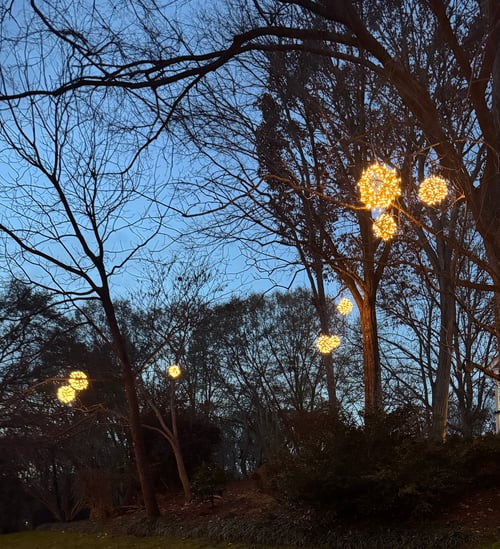 0D78030C-F0DA-4E40-8F81-B03DDD9F342C_1_201_a