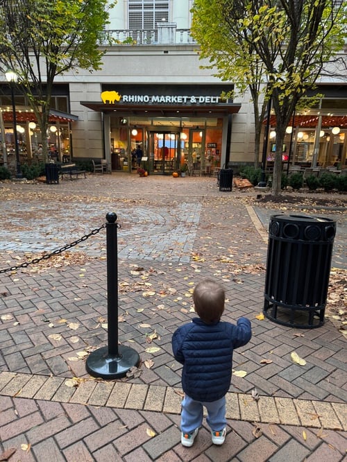 91E778B5-61A0-45A6-B36D-CC41BF710303_1_105_c