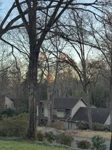 CD094B1F-5BD5-4477-99CD-7C62F60B9BB4_4_5005_c