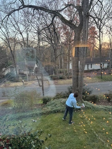 DDE106EB-E5F2-456E-B689-FE17B984D1AE_4_5005_c