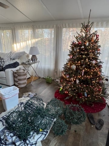 F4433EF1-5BBD-408E-8B87-CB68CCB480EE_4_5005_c