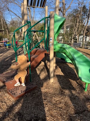 D2C46875-2414-475D-B489-C026C4E1AB8A_1_105_c